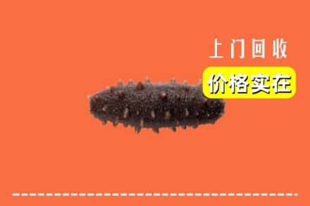 收购资讯:德清县回收海参