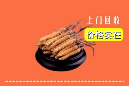 德清县回收冬虫夏草